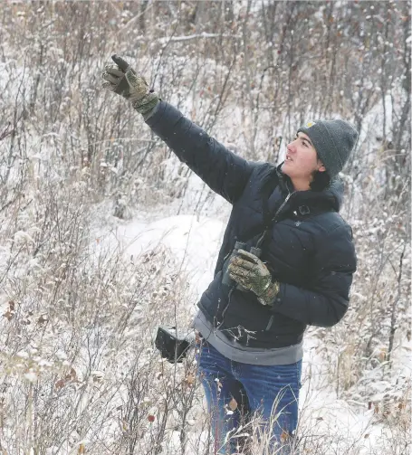  ?? BRENDAN MILLER ?? Gavin Mackinnon, who goes birdwatchi­ng several times a week, scans the trees in Fish Creek Park during a recent outing. The Calgary teenager figures he has spotted more than 320 species this year of the 426 that are found in Alberta.