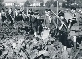  ??  ?? Schoolboys heading out collect produce from an allotment in October 1941