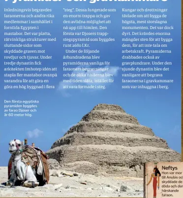  ??  ?? Den första egyptiska pyramiden byggdes av farao Djoser och är 60 meter hög.