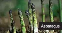  ??  ?? Asparagus