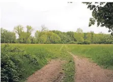  ?? RP-FOTO: DOMINIK SCHNEIDER ?? Die Urdenbache­r Kämpe im Süden von Düsseldorf ist eine vielfältig­e Landschaft.