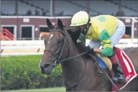  ?? PHOTO BY CHELSEA DURAND, PROVIDED BY NYRA ?? Fresco at the Saratoga Race Track on July 23 in the NYSS Statue of Liberty.