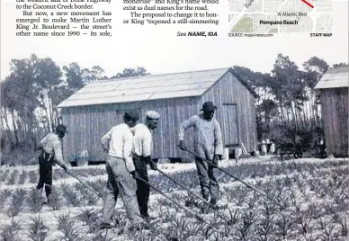  ?? POMPANO BEACH HISTORICAL SOCIETY/COURTESY ?? Pineapples were among the crops grown in the early part of the century when agricultur­e was a factor in Pompano’s economy.