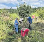  ??  ?? The Sherborne Brook Support Group have been growing 300 oak and 100 beech trees