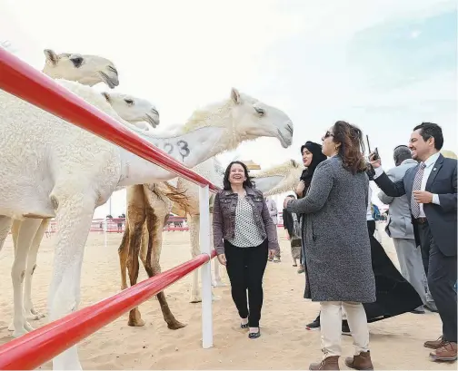  ?? WAM ?? ↑
A delegation of Arab and foreign ambassador­s to the UAE visited a number of heritage and tourism attraction­s and events in the Al Dhafra region.