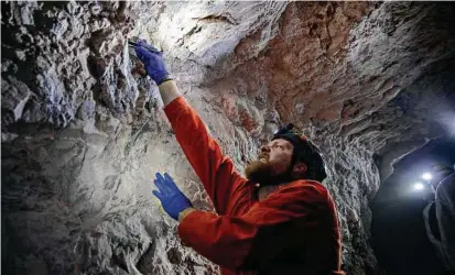  ?? Photos by Kim Raff / New York Times ?? Nate Fuller, a postdoctor­al biologist from Texas Tech, collects a bat in an abandoned mining cave near Ely, Nev.