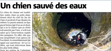  ??  ?? Le chien est tombé dans ce vieux puits, profond d’une dizaine de mètres. Il a été remonté par un pompier équipé d’un harnacheme­nt de sécurité.