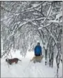  ??  ?? Taking the dogs for a stroll through the snow on Friday, March 2, 2018, in this photo by Danielle Cook.