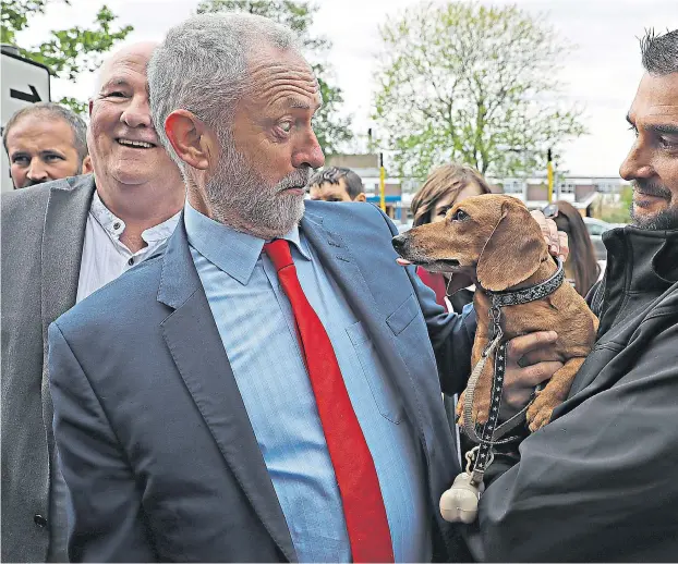  ??  ?? Labour leader Jeremy Corbyn met Cody the dachshund as he campaigned yesterday in Great Yarmouth, Norfolk