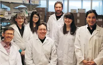  ??  ?? Simon Fraser University’s Mark Brockman, from left, Silven Read, Tallie Kuang, Ian Tietjen, Tristan Markle, Natalie Kinloch and Zabrina Brumme are the authors of a study on how sea sponges could be used to inhibit HIV-infected cells.