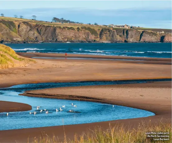  ??  ?? Lunan Water snakes out to the North Sea bisecting Lunan Bay beach