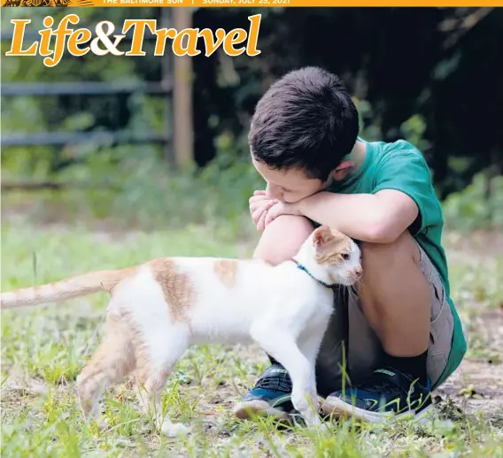  ?? ALLISON V. SMITH/FOR THE NEW YORK TIMES ?? A cat comforts Derek Gode, 10, at Elijah’s Retreat, a camp in Jacksonvil­le, Texas, for children with autism.