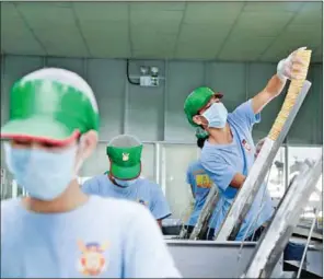  ?? HONG MENEA ?? Employees work on a production line on the outskirts of Phnom Penh.