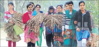  ?? HT PHOTO ?? Rural women trained by Kabya Jyoti Bora (below) walk home with wild water hyacinth stalks, which serve as a costfree raw material for their woven products such as flower vases and office folders in Assam’s Kamrup district.