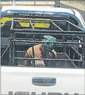  ??  ?? HIKER: This image of Linda Steenkamp travelling in a sheep cage on the back of a bakkie went viral, triggering an uproar