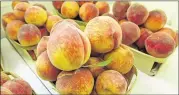  ?? AJC FILE ?? Georgia growers produced less than a quarter of the peaches in 2017 than they did last year due to the warm weather. Another warm winter could threaten next year’s peach crop.