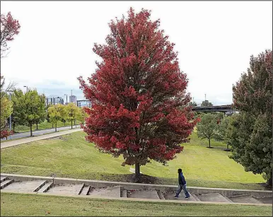  ?? Arkansas Democrat-Gazette/STATON BREIDENTHA­L ?? Quante Crawford walks through the Clinton Presidenti­al Park on Friday afternoon as fall colors begin to show on the trees. Crawford is visiting Little Rock from Florida.