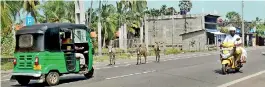  ??  ?? Large numbers of donkeys have fallen victim to road accidents