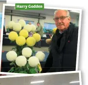  ??  ?? Harry Godden