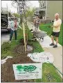  ??  ?? Crews planted trees at various locations around Saratoga Springs Saturday during the first Tree Toga event of 2017.