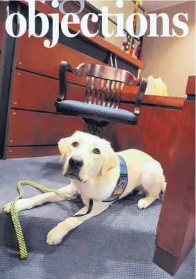  ?? BILL SINDEN/ASSOCIATED PRESS ?? Camry, a golden retriever-Labrador mix, lies in the witness box at the Marion County Family Court in Marion, Ohio. The dog assists in calming anxious witnesses and others during hearings and trials.