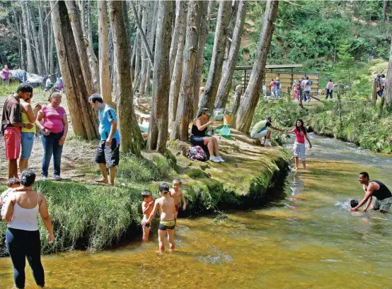  ?? FOTO ?? Solo ingresar al parque, que tiene 1.716 hectáreas de reserva natural que protegen el agua que abastece parte de Medellín, ya es un ejercicio saludable para el cuerpo y el espíritu. Cerca del 10 % de los visitantes son turistas extranjero­s.