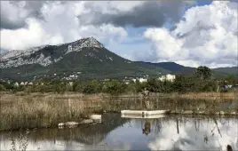  ?? (Photo P.-H. C.) ?? La zone humide a déjà séduit les oiseaux... et les amateurs de photo.