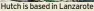  ?? ?? Hutch is based in Lanzarote