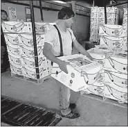  ?? AP/MARCO UGARTE ?? A worker at a farm in Ciudad Hidalgo, Mexico, stacks a box of freshly harvested Chiquita bananas Friday. The tariffs threatened by President Donald Trump would apply to all goods imported from Mexico.