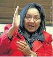  ??  ?? Cape Town mayor Patricia de Lille