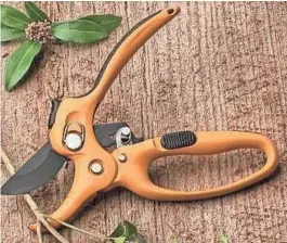  ?? GARRETT WADE ?? The ratcheting hand pruner adds extra power to the task.