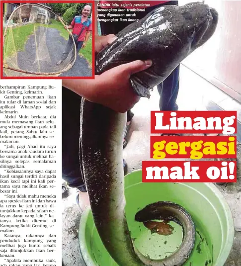  ??  ?? CANDIK iaitu sejenis peralatan menangkap ikan tradisiona­l yang digunakan untuk mengangkat ikan linang.
IKAN linang yang ditangkap Abdul Muin di Sungai Pahang berhampira­n Kampung Bukit Genting, kelmarin.