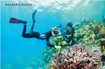  ??  ?? Katie Chartrand (left) and Peter Harrison (right) taking coral samples together at Moore Reef