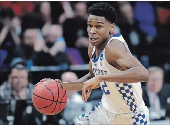  ?? ASSOCIATED PRESS FILE PHOTO ?? Kentucky guard Shai Gilgeous-Alexander moves the ball during a first-round game in the NCAA men’s college basketball tournament last March. He has made himself a likely first-round pick in the NBA draft.