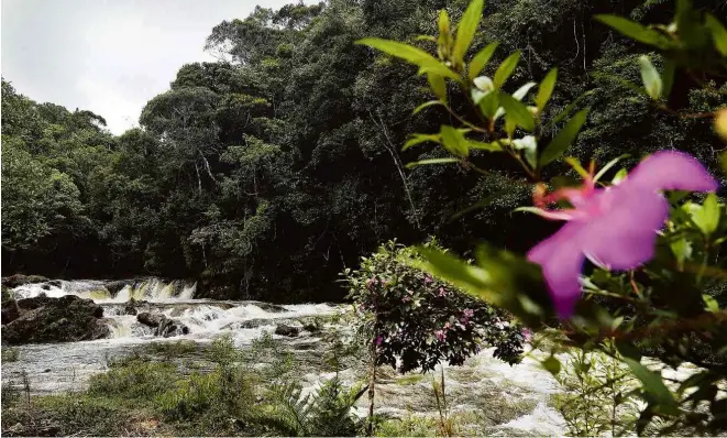  ?? Fotos Eduardo Knapp/Folhapress ?? Cachoeira Manacás, no rio Capivari, último curso d’água limpo de SP; áreas privadas no extremo sul da cidade abrem para visitação