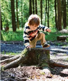  ?? Foto: Alexander Kaya (Symbolbild) ?? In Dinkelsche­rben soll es einen neuen Waldkinder­garten geben. Aktuell sucht die Ge‰ meinde nach einem geeigneten Träger.