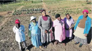  ?? / VELI NHLAPO ?? Members of the Modimo O Teng Cooperativ­e in Marlboro Gardens make a surplus of produce after feeding their families.