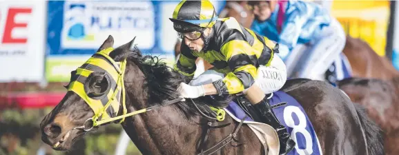  ?? Picture: Nev Madsen ?? OLD MARVEL: Eight-year-old Brumby Jack storms to the lead under Jason Lyon to score at Clifford Park.