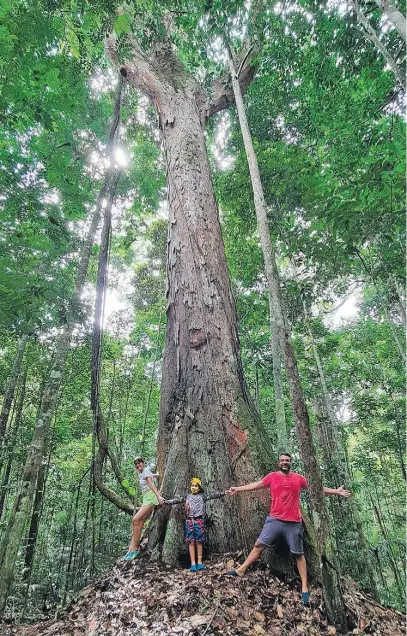  ?? ARQUIVO PESSOAL ?? Aline e Thiago, com o filho Leonardo: ‘Todo mundo tem que ir à Amazônia uma vez na vida’