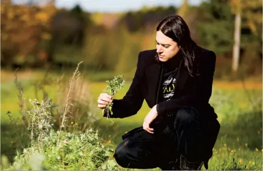  ??  ?? Les plants d’absinthe de Jean-Philippe Doyon servent à produire une boisson alcoolisée autrefois interdite.