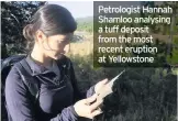  ??  ?? Petrologis­t Hannah Shamloo analysing a tuff deposit from the most recent eruption at Yellowston­e