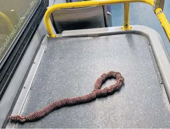  ?? RAMGOAT BUCKAMAN PHOTO ?? A noose-like item was recently found on a Vancouver bus. The driver was told he ‘should hang himself’ with it.