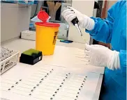  ?? EFE ?? Un laboratori­o procesa pruebas de coronaviru­s.