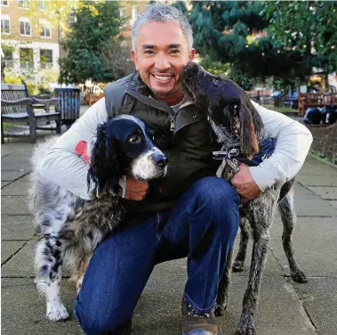  ??  ?? Der internatio­nal bekannte Hundetrain­er Cesar Millan – hier beim Gassigehen in London – gastiert mit seiner Show Ende Oktober in der Erfurter Messehalle.