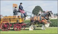  ??  ?? The heavy horse pairs or tandems turnout parade in the main ring at the Great Yorkshire Show.