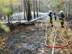  ?? Foto: Peter Fastl ?? Feuerwehrl­eute löschen den Brand im Stadtwald. Die Polizei geht dem Verdacht nach, dass ein Brandstift­er zugeschlag­en hat.