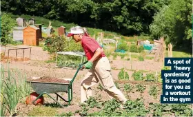  ?? ?? A spot of ‘heavy gardening’ is as good for you as a workout in the gym