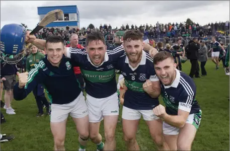  ?? Photo: Joe Byrne ?? Bray Emmets players celebrate after defeating Glenealy in the 2019 county hurling final in Aughrim.