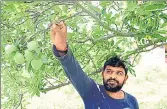  ??  ?? Apple growing regions of state rely on farm labourers from Nepal. Most of them have returned to their native place and are now stranded there due to the lockdown. DEEPAK SANSTA /HT