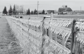  ?? [JOE MERLIHAN / THE OBSERVER] ?? Parts of Woolwich, particular­ly the Elmira area, were hardest hit by the ice storm that developed in the region overnight April 11-12.